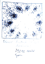 EGON ZIPPEL / Online Archive Insects 
