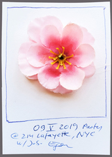 EGON ZIPPEL / Online Archive 3D / Color 