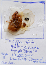 EGON ZIPPEL / Online Archive 3D / Color 