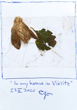 EGON ZIPPEL / Online Archive 3D / Color 