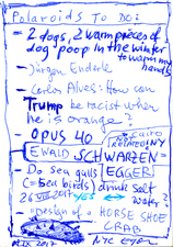 EGON ZIPPEL / Online Archive Trump 