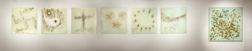 EGON ZIPPEL / Online Archive Insects / Spiders Insects, glass panels